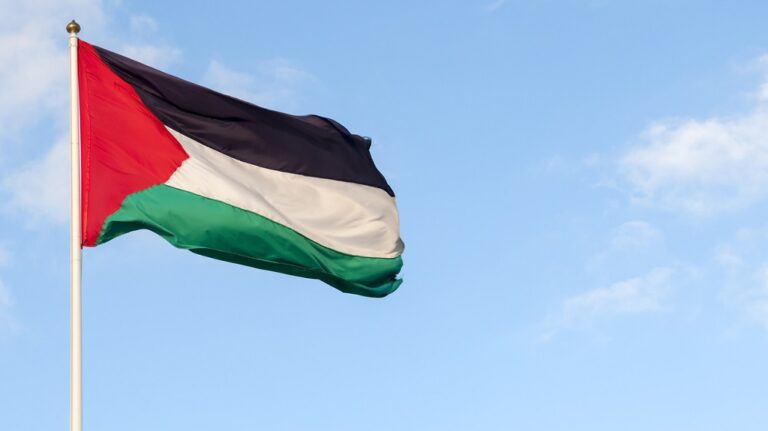 Flag of Palestine in the West Bank. Picture The Liberum archive.